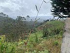 Sendero Camino al cielo, desde su altura se puede divisar la calles que conduce al sendero