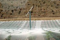 Stationäre Windmaschine in Neuseeland. (Der Weingarten ist bis zur Ernte mit einem weißen Vogelschutznetz abgedeckt.)