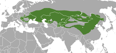 Mapa występowania