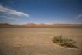 Strada nel deserto del Namib nel Namib-Naukluft National Park