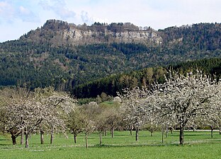 Blick von den Streuobstwiesen bei Weilstetten auf das Lochenhörnle (952,8 m ü. NHN)