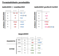 Końcówki w odmianie czasowników[t]