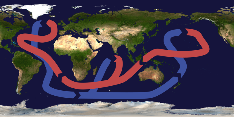 File:Thermohaline circulation.png