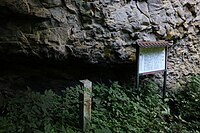 市営林道御岳線沿いの露頭にある天然記念物標柱と解説板。2022年7月24日撮影。
