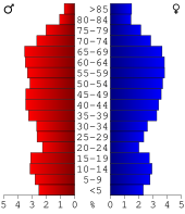 Bevolkingspiramide Union County