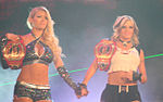 Miniatura para TNA Knockouts World Tag Team Championship