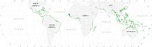 Mangrove forests of the world in 2000 World map mangrove distribution.jpg