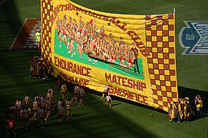 AFL Grand Final 2008 Hawthorn Banner.jpg