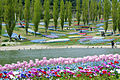 Vista parcial del "Akashi Kaikyo National Government Park".