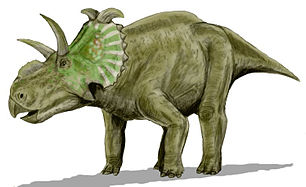 אלברטצרטופס Albertaceratops