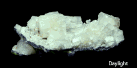 Fluoresens dari aragonit