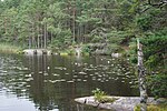 Bergsjön (Skepplanda socken, Västergötland)