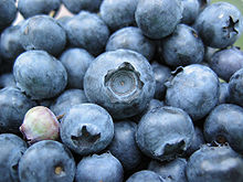 220px-Bunch_of_blueberries%2C_one_unripe.jpg