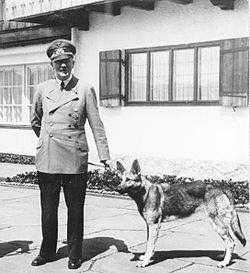 Adolf Hitler és Blondi a Berghofban 1942-ben