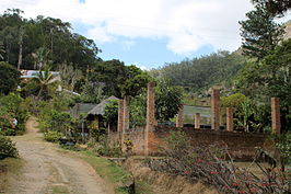 Peyrieras Reptile Reserve