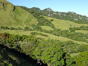 Landschaft am Berg Tapo