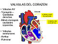 Miniatura para Cardiogeriatría