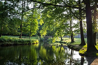 Dülmener Wildpark