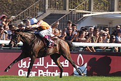 Danedream wins the 2011 Arc for Germany.jpg