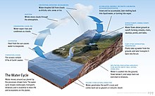 The Earth's water cycle Diagram of the Water Cycle.jpg