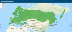 Distribution map of Lesser Spotted Woodpecker (Dryobates minor).png