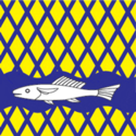 Vlag van de gemeente Alajõe