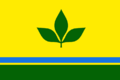 Флаг МО «Борогонский наслег»
