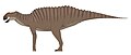Gryposaurus alstasei