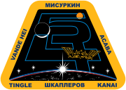 Патч 54-й экспедиции на МКС.svg
