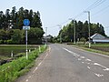 Ruta Prefectural 315 en Naka.