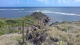 Barrière de corail devant l'îlet.