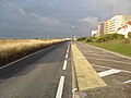 Le Touquet-Paris-Plage - Les oyats de la digue-promenade (2)