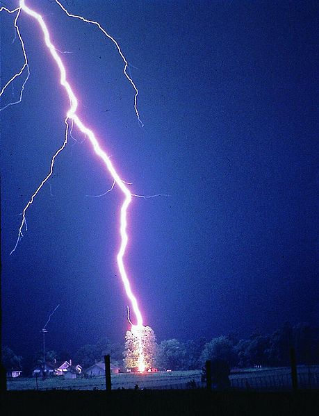 File:Lightning hits tree.jpg