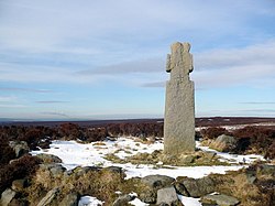 A stone cross on a high moor surrounded by heather