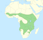 Distribution map of lions in Africa