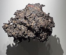 Fragment, in der Grande Galerie de l'Évolution, MNHN (Paris, 18. Oktober 2017–10. Juni 2018)