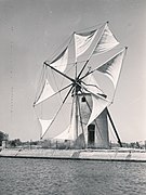 Molino en La Unión.1957