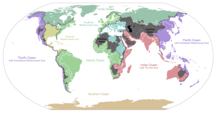 Carte du monde situant les bassins versants de 5 océans, de la mer Méditerranée et du golfe du Mexique ainsi que les grands bassins endoréiques