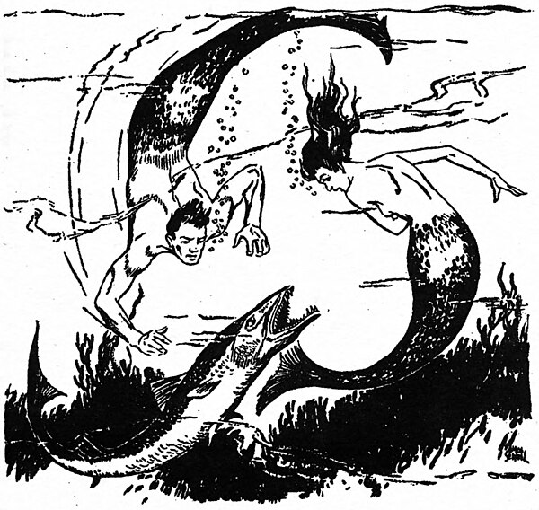 A merman and mermaid swim under the sea, a large fish between them and seaweed beneath