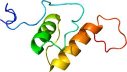 Протеин MKL1 PDB 2KVU.png