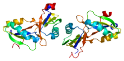 Белок NUP35 PDB 1wwh.png