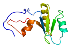 Протеин PARN PDB 1whv.png