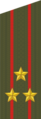 Distintivo di grado da colonnello delle Forze missilistiche strategiche (dal 2010)