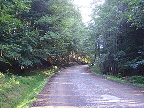 Drumul Corund-Valea lui Pavel