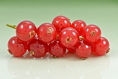Красная смородина (Ribes rubrum) fruit.jpg