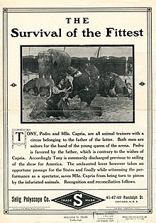 Description de l'image Release flier for THE SURVIVAL OF THE FITTEST, 1911.jpg.