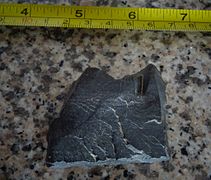 Dark organic shale Chipaque Formation