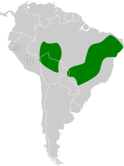 Distribución geográfica del pijuí cenizo.