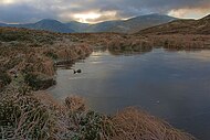 A tarn on Sheffield Pike