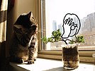 Facepalm guy and cat facepalming